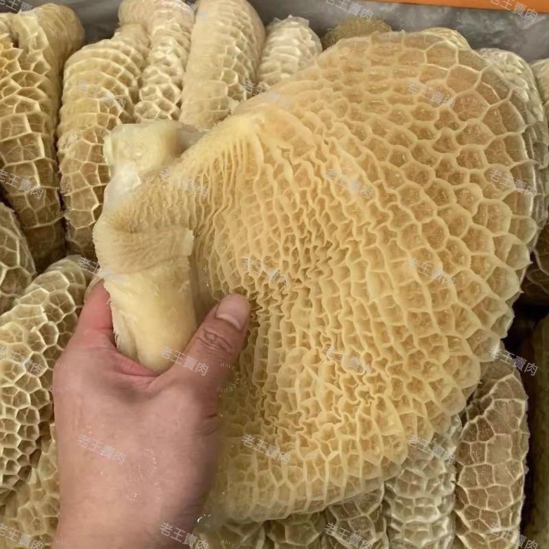 【老王賣肉】澳洲/蜂巢 牛肚600g/生鮮/生牛肚/好想你也有買/冷凍/冷盤/滷味/下酒菜