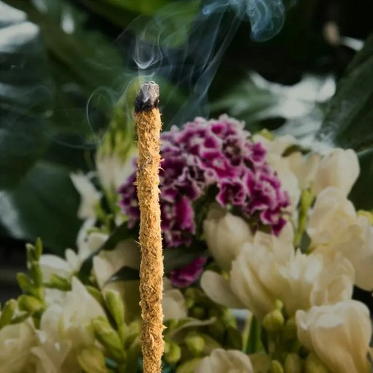 【栀子花 + 金盞花】花果香薫棒 Sagrada Madre