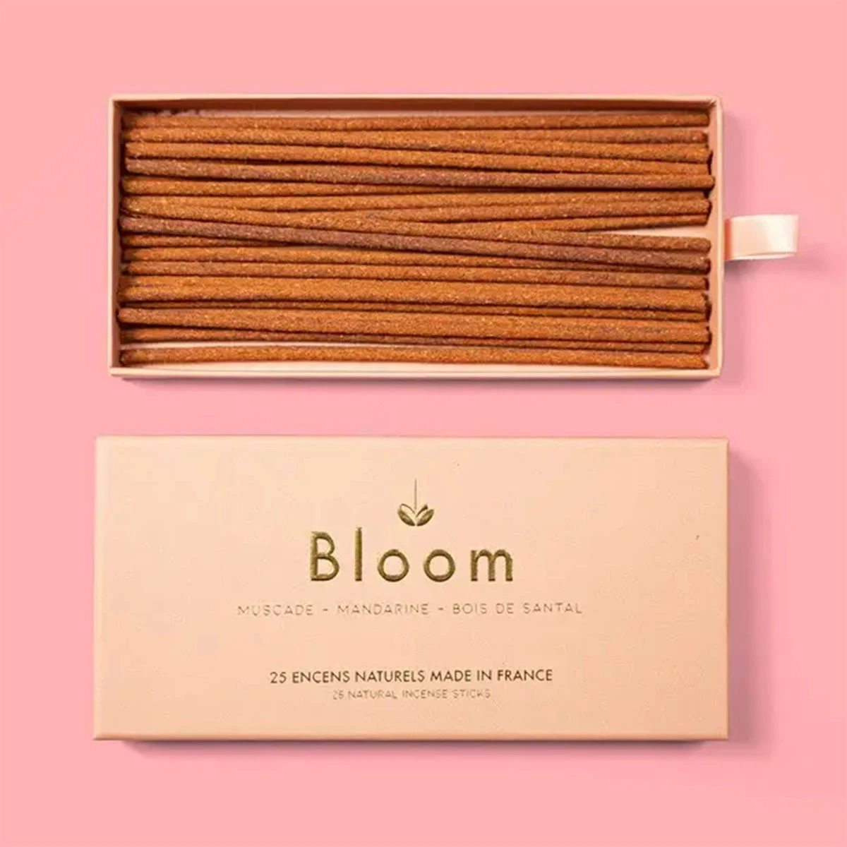 Bubble Shell - 肉荳蔻、柑橘、檀香 |Bloom