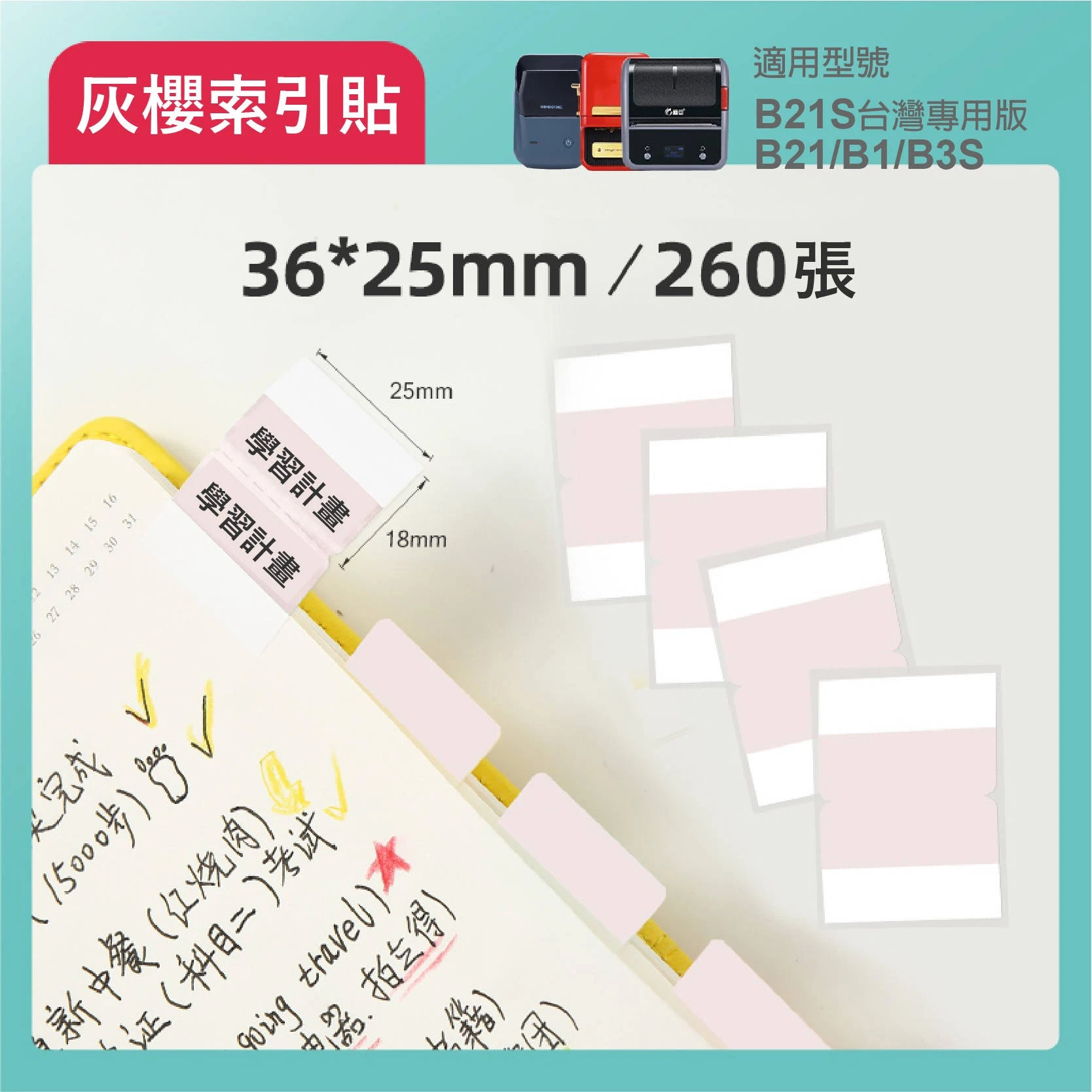 【精臣 NIIMBOT】B21S 索引標籤貼紙