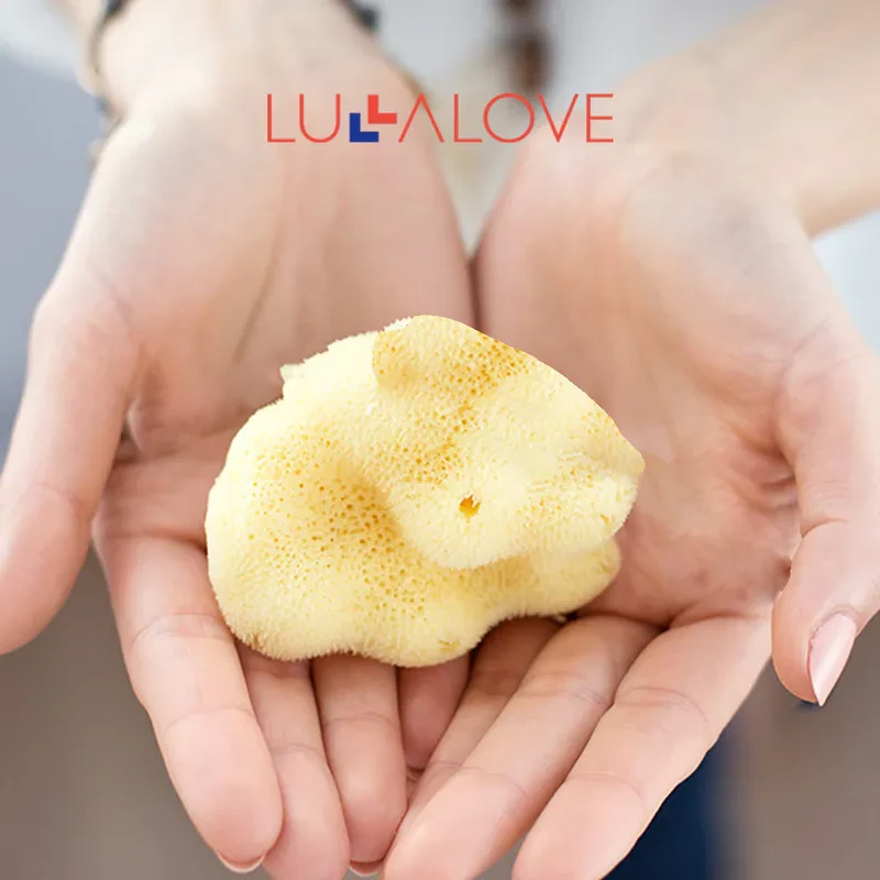 【Lullalove】天然洗顏海綿(小)