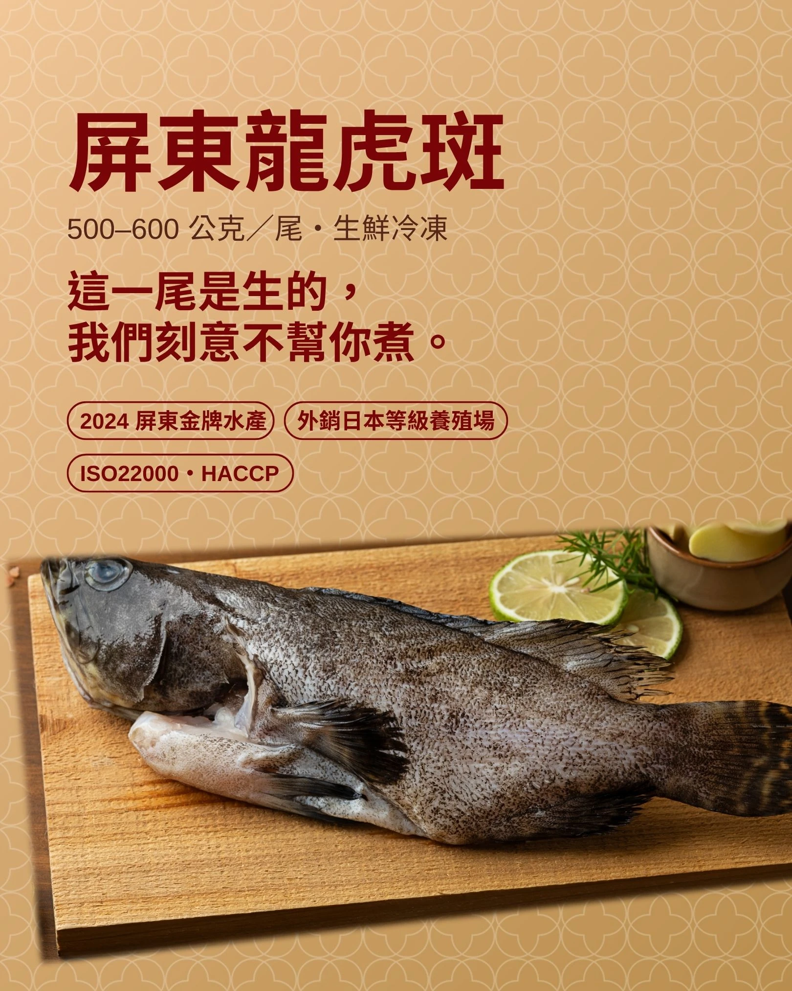 屏東龍虎斑
