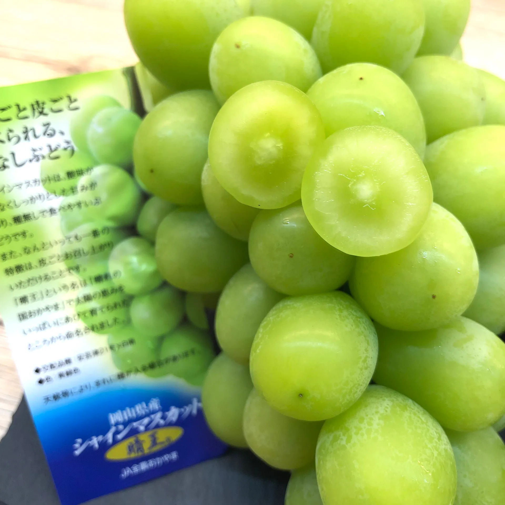 岡山晴王麝香葡萄｜Juicy Jewel 就是這