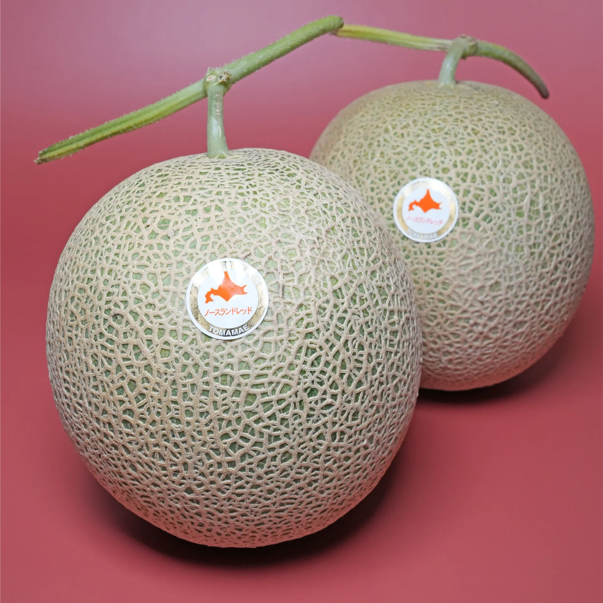 北海道苫前町赤肉蜜瓜禮盒 北國紅（ノースランドレッド®）｜Juicy Jewel 就是這