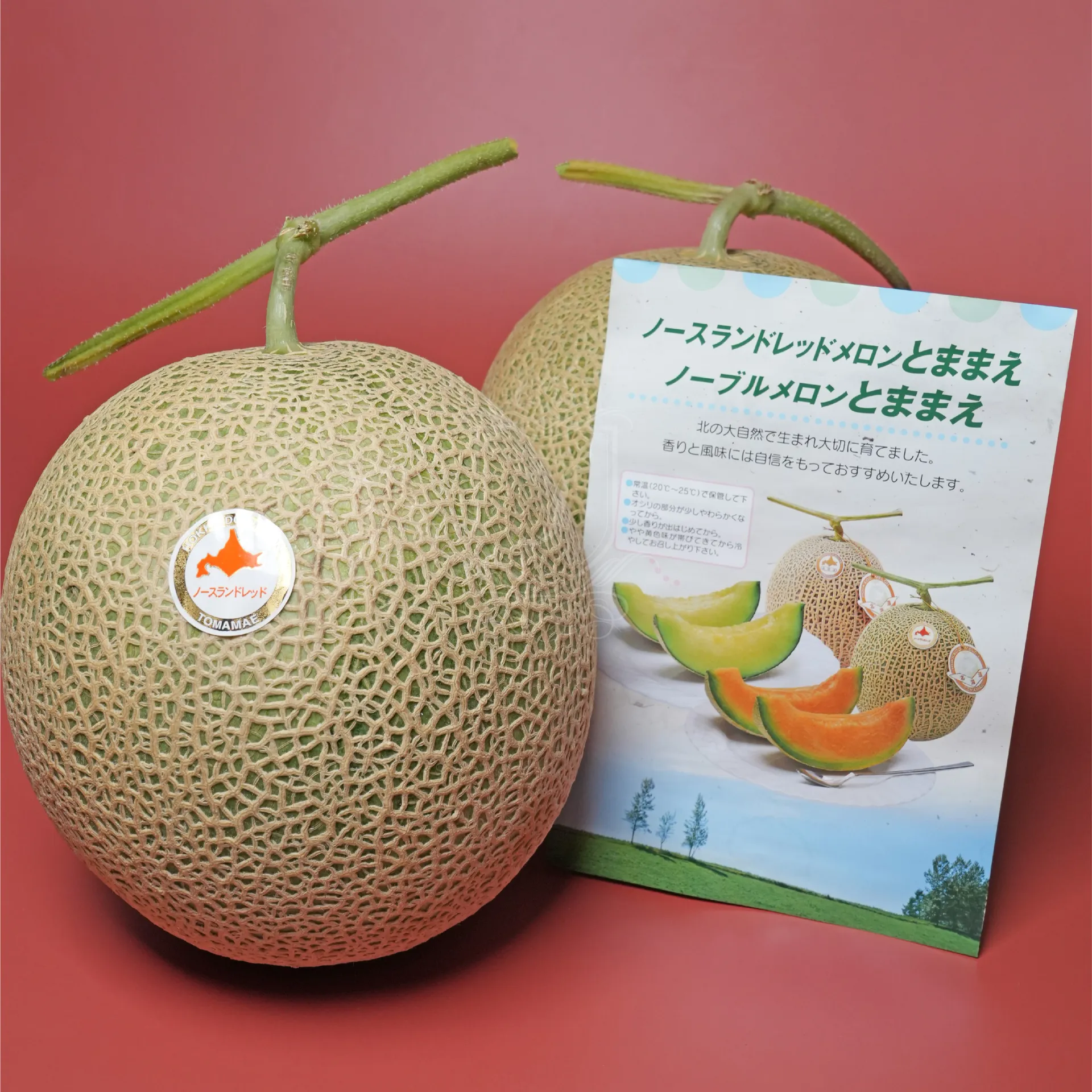 北海道苫前町赤肉蜜瓜禮盒 北國紅（ノースランドレッド®）｜Juicy Jewel 就是這