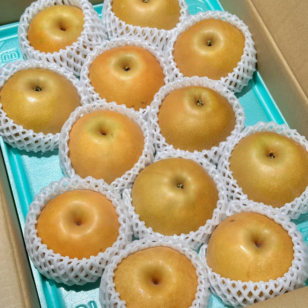 日本長野信州南水梨｜Juicy Jewel 就是這