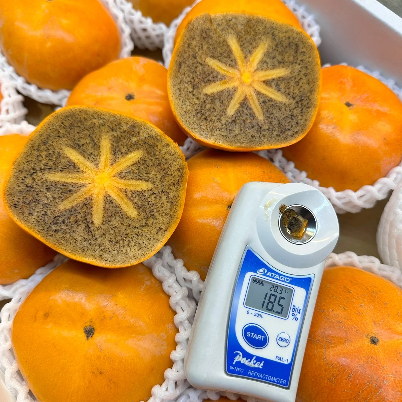 日本和歌山黑糖柿｜Juicy Jewel 就是這