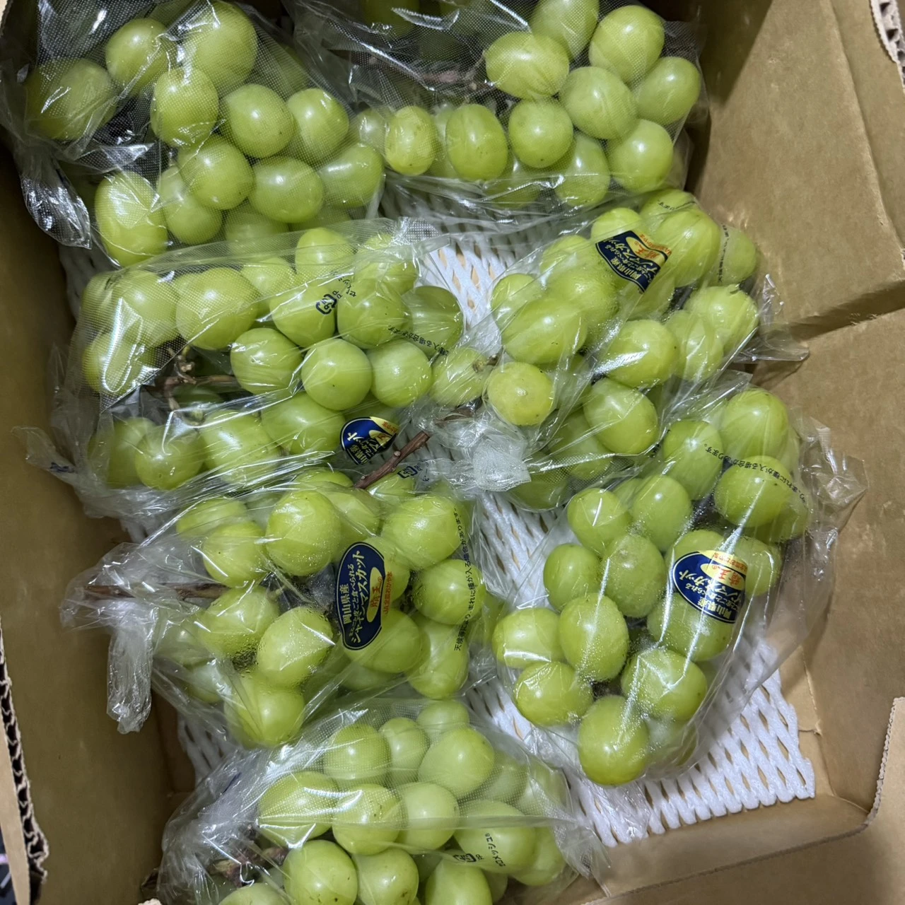 岡山晴王麝香葡萄(福利品)｜Juicy Jewel 就是這