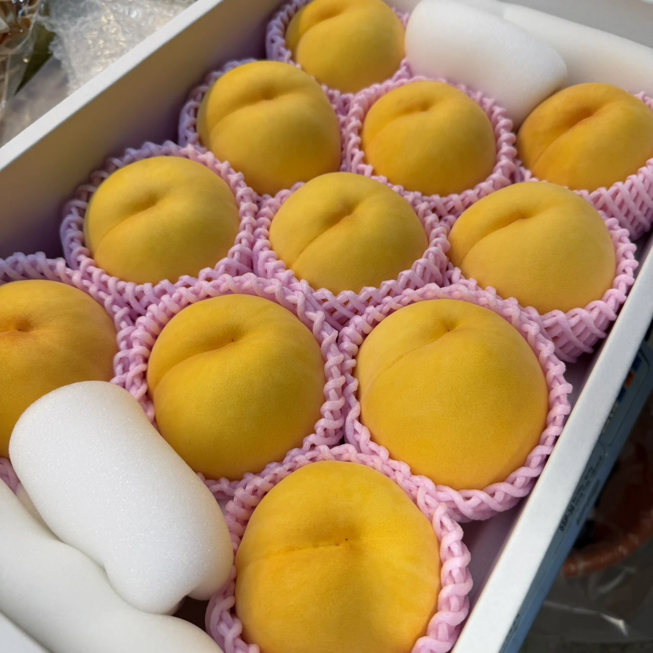 日本山形黃金桃｜Juicy Jewel 就是這