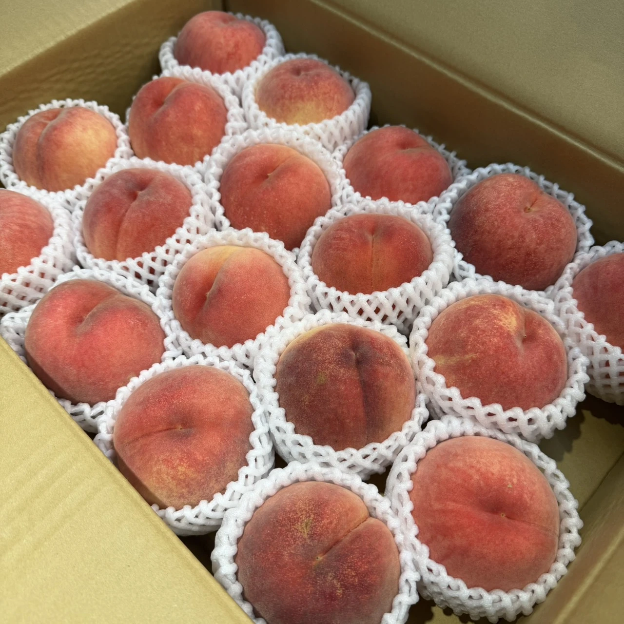 日本山形縣川中島水蜜桃｜Juicy Jewel 就是這