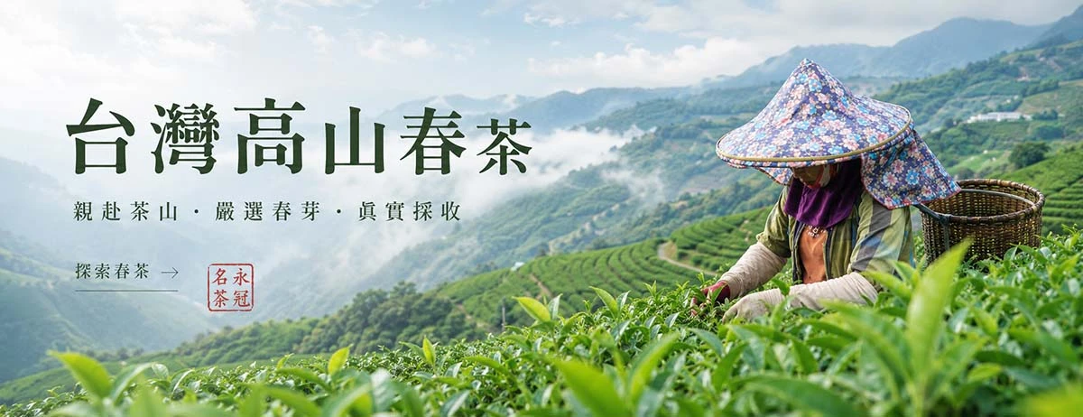 探索春茶