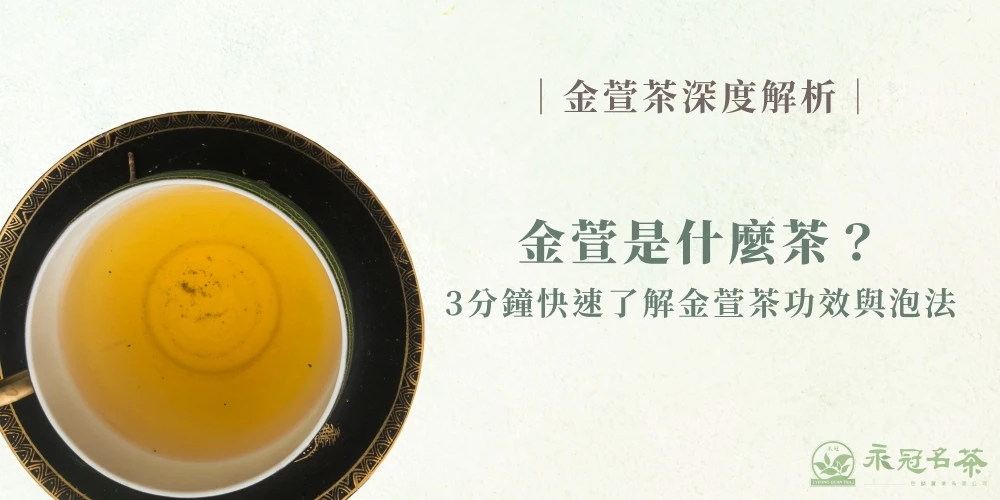 金萱茶深度解析|金萱是什麼茶?3 分鐘快速了解金萱茶功效與泡法