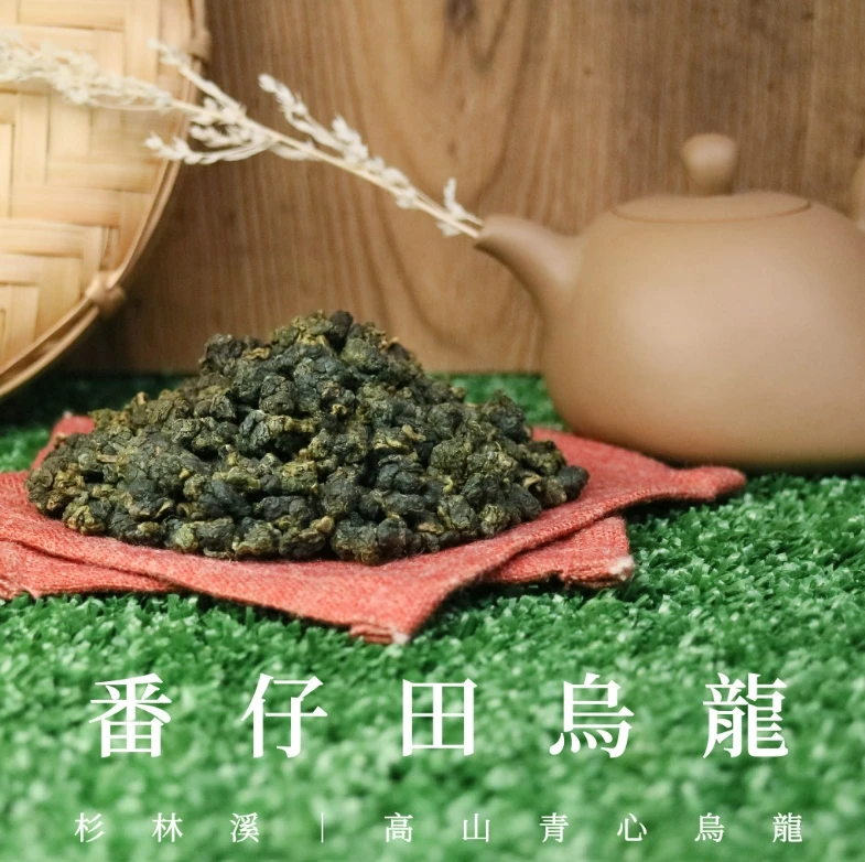 高山茶 台湾 台湾茶 阿里山凍頂烏龍茶x10 凍頂烏龍茶 台灣高山