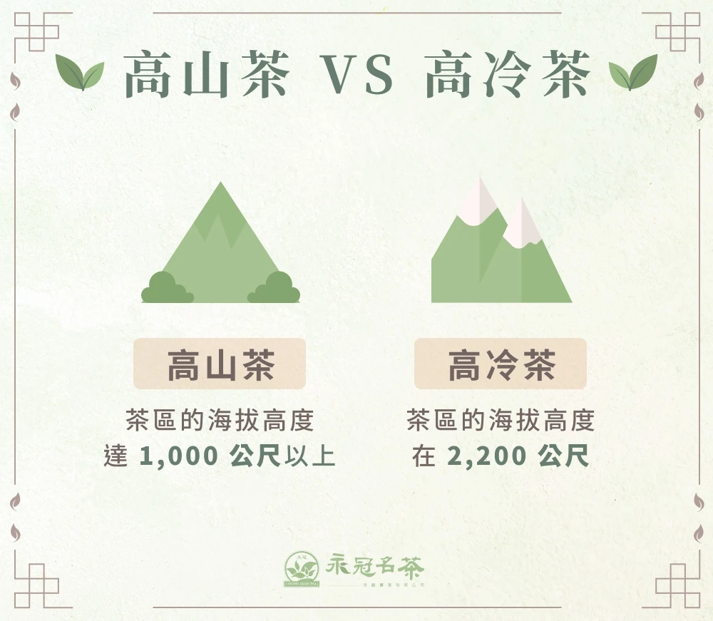 高山茶 VS 高冷茶