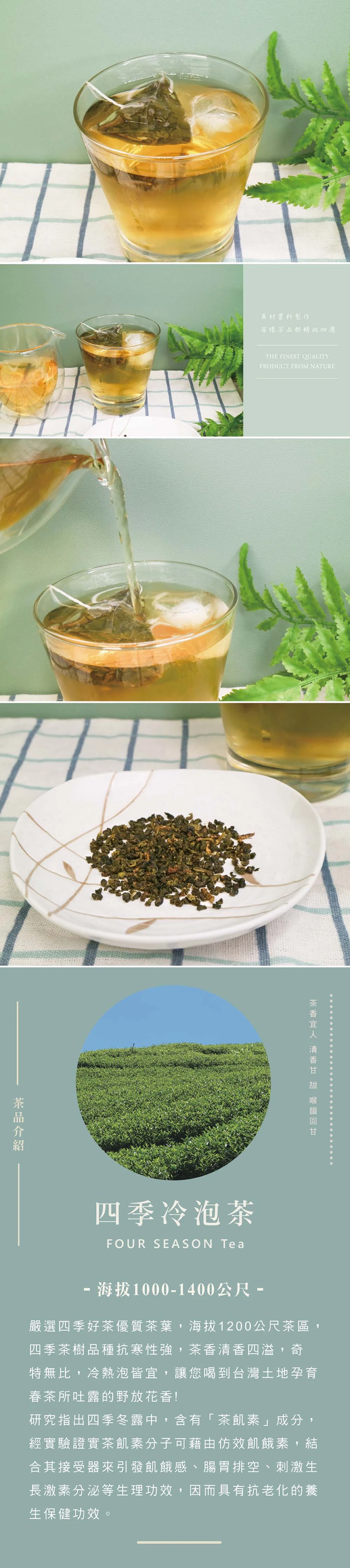 四季冷泡茶簡介