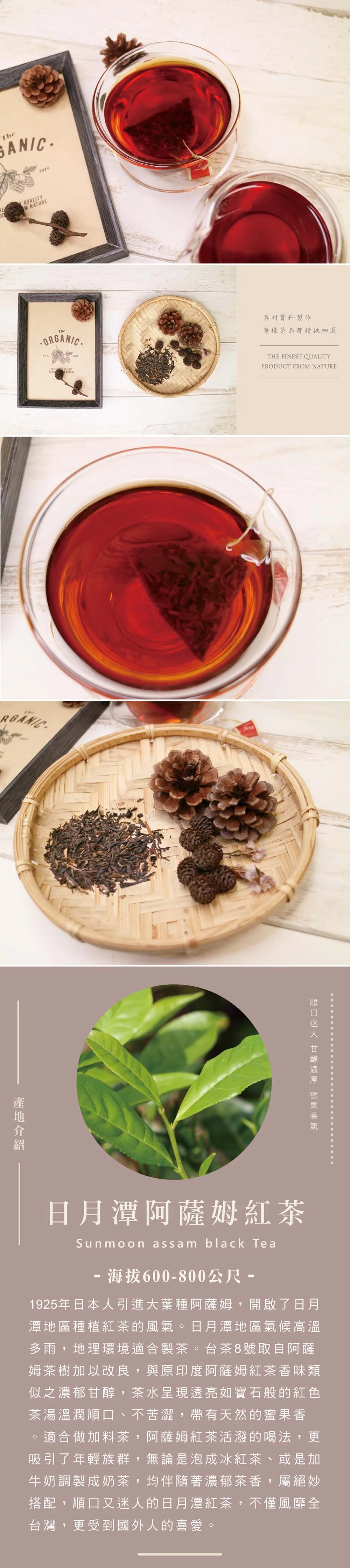日月潭阿薩姆紅茶簡介
