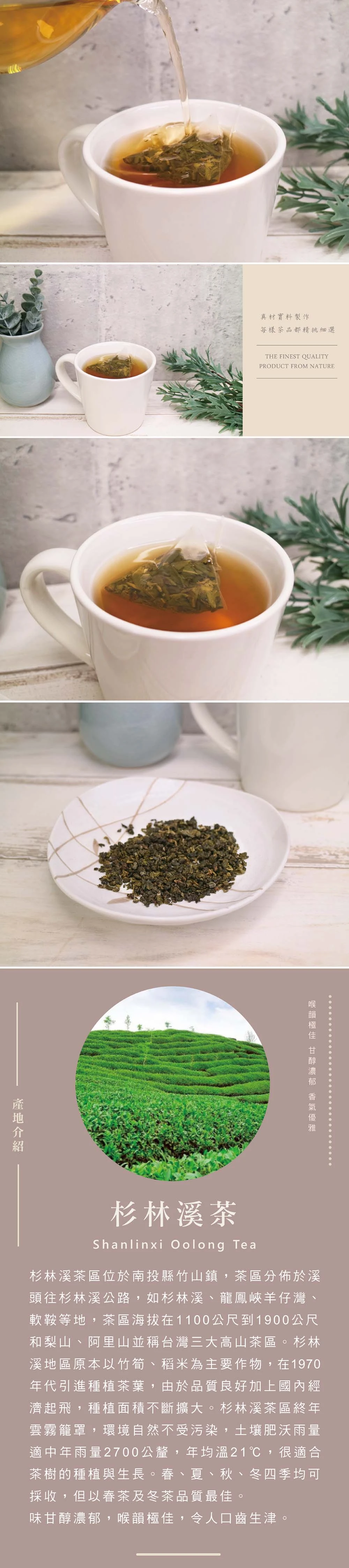 菊花青茶簡介