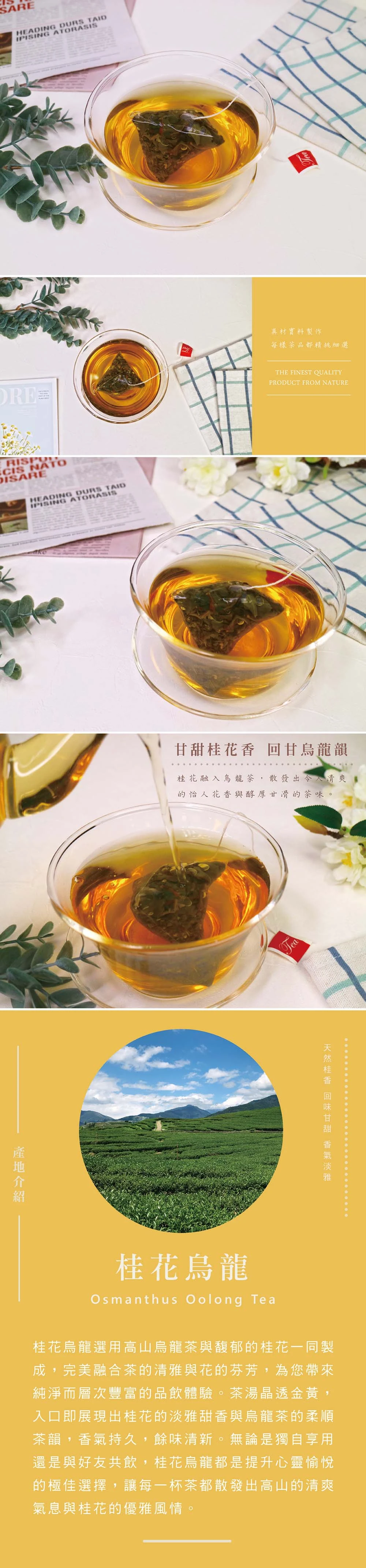 桂花烏龍簡介