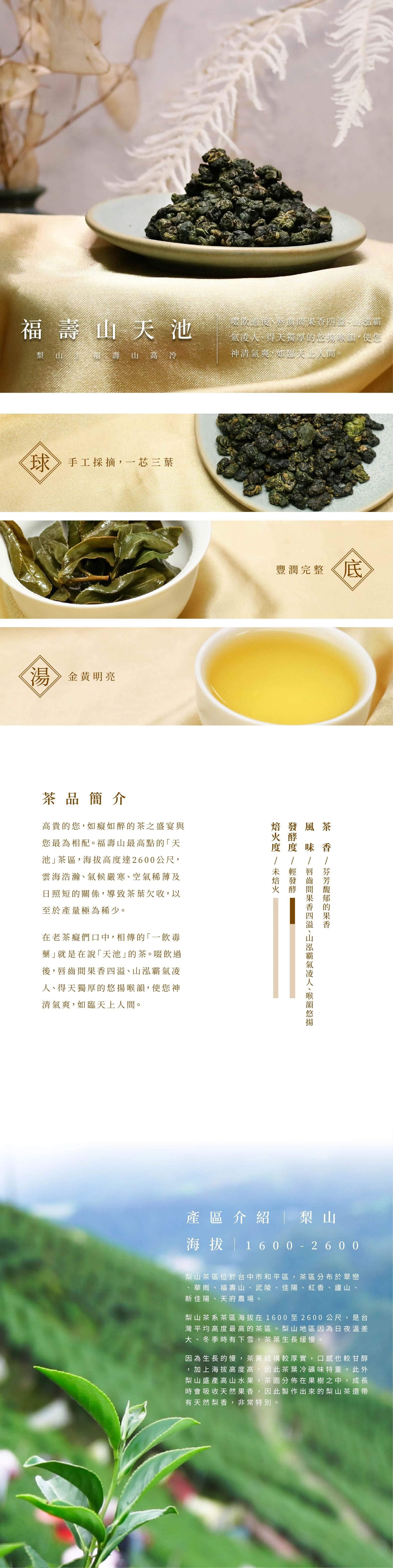 福壽山天池高冷茶| 濃郁果香與冷礦味交織，喉韻深遠台灣在地鮮採製作的