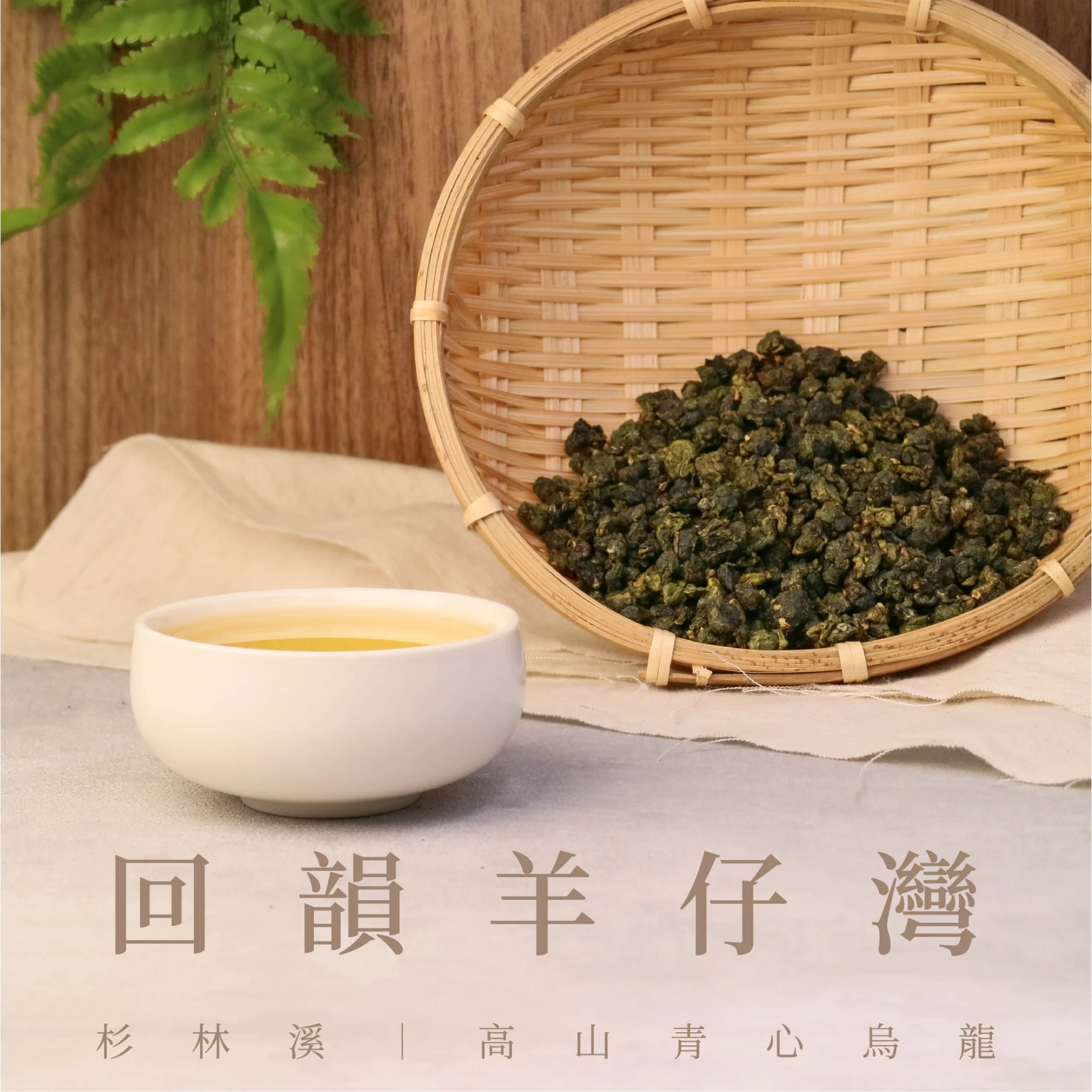 羊仔灣｜杉林溪