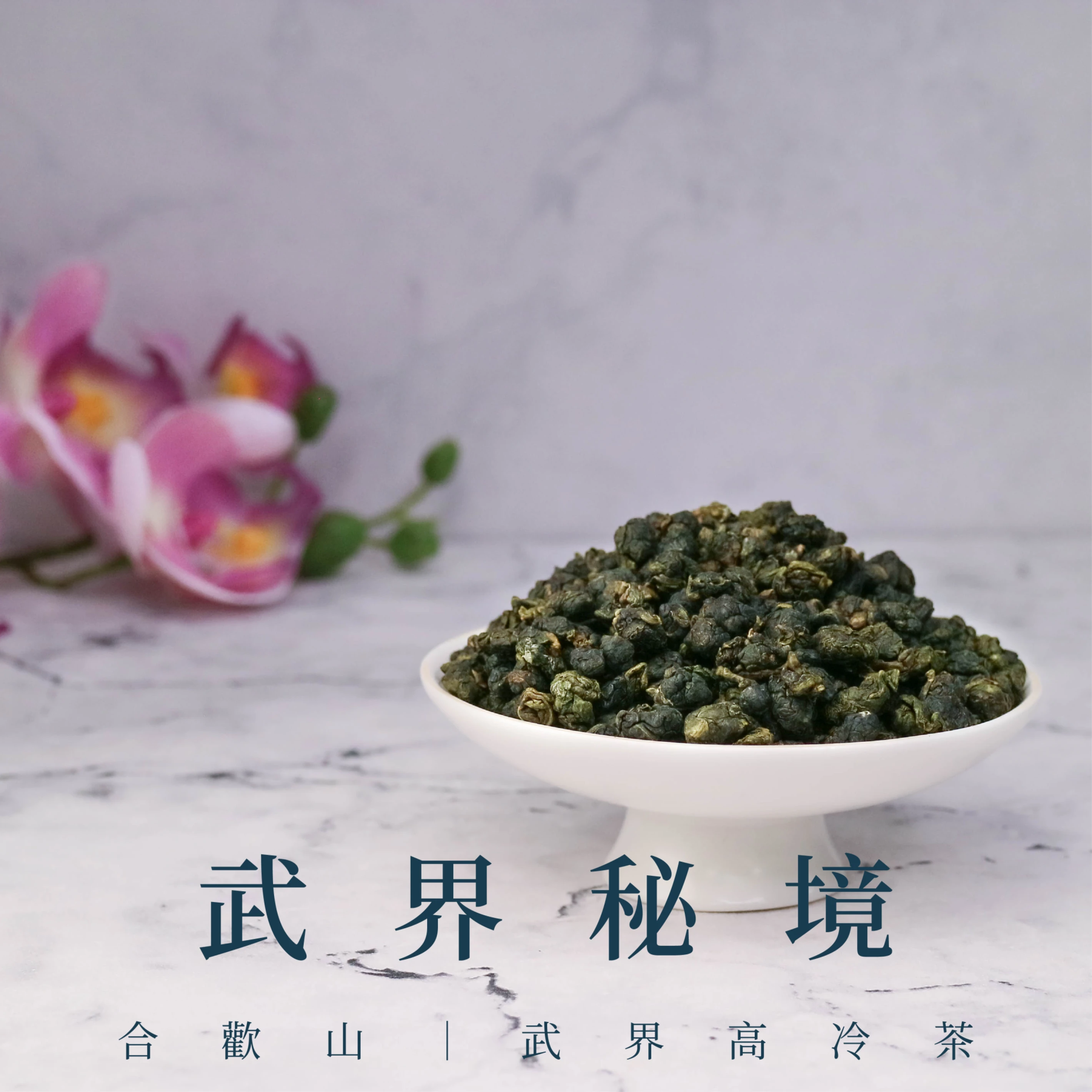 武界秘境｜合歡山