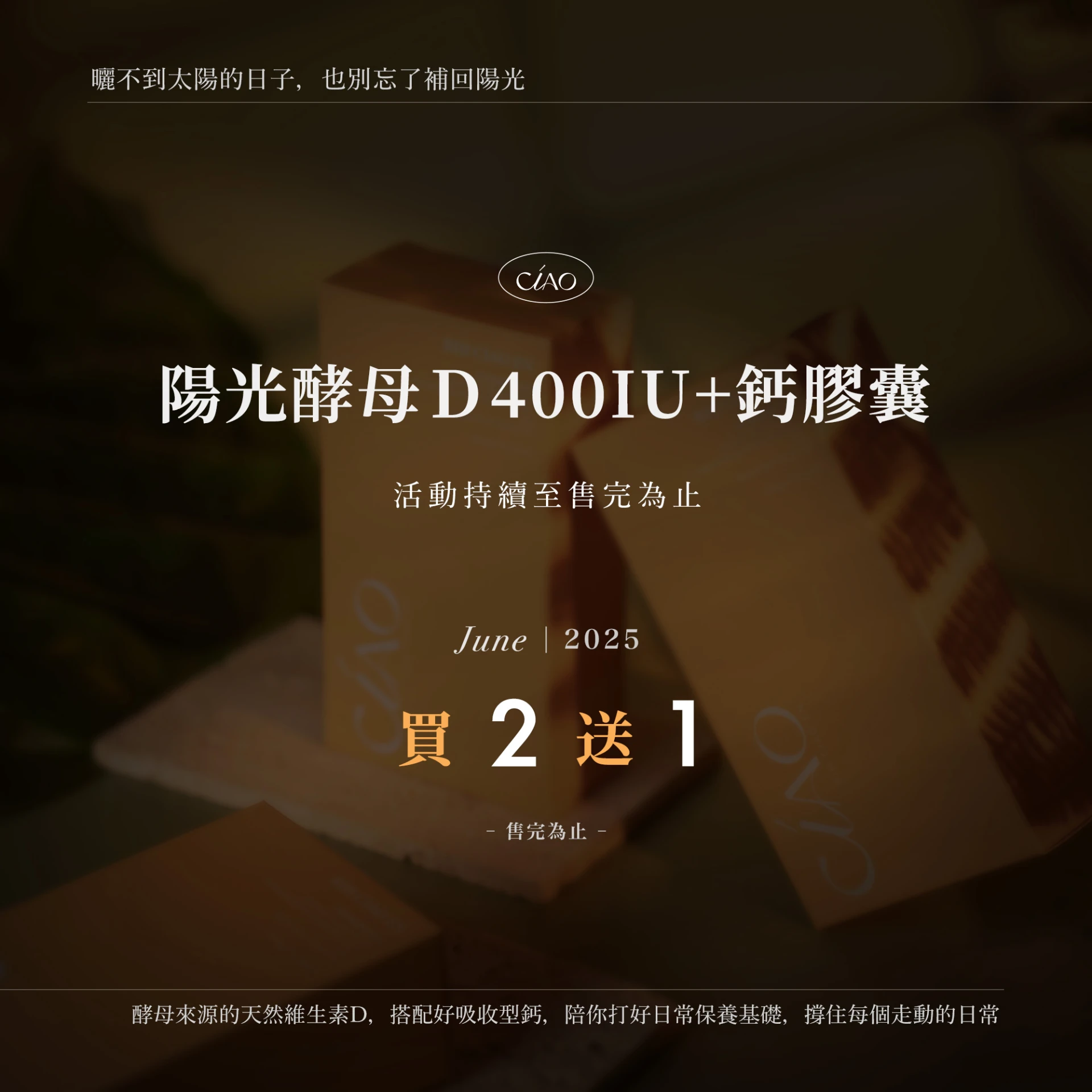 【同品項買2送1】日喬恩 陽光酵母Ｄ400IU+鈣膠囊