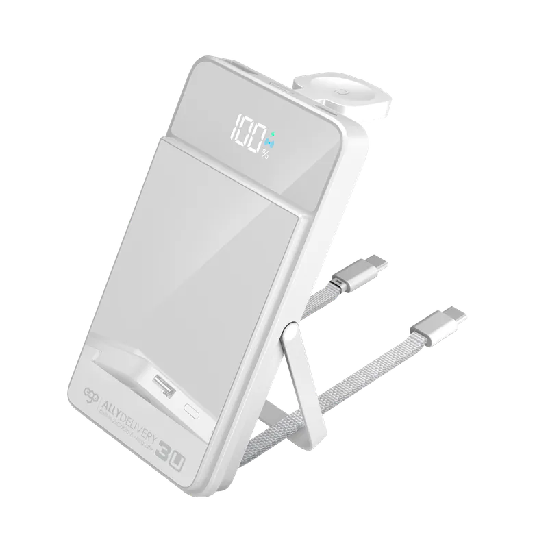 EGO多功能行動電源10000ahm附雙Type-C線