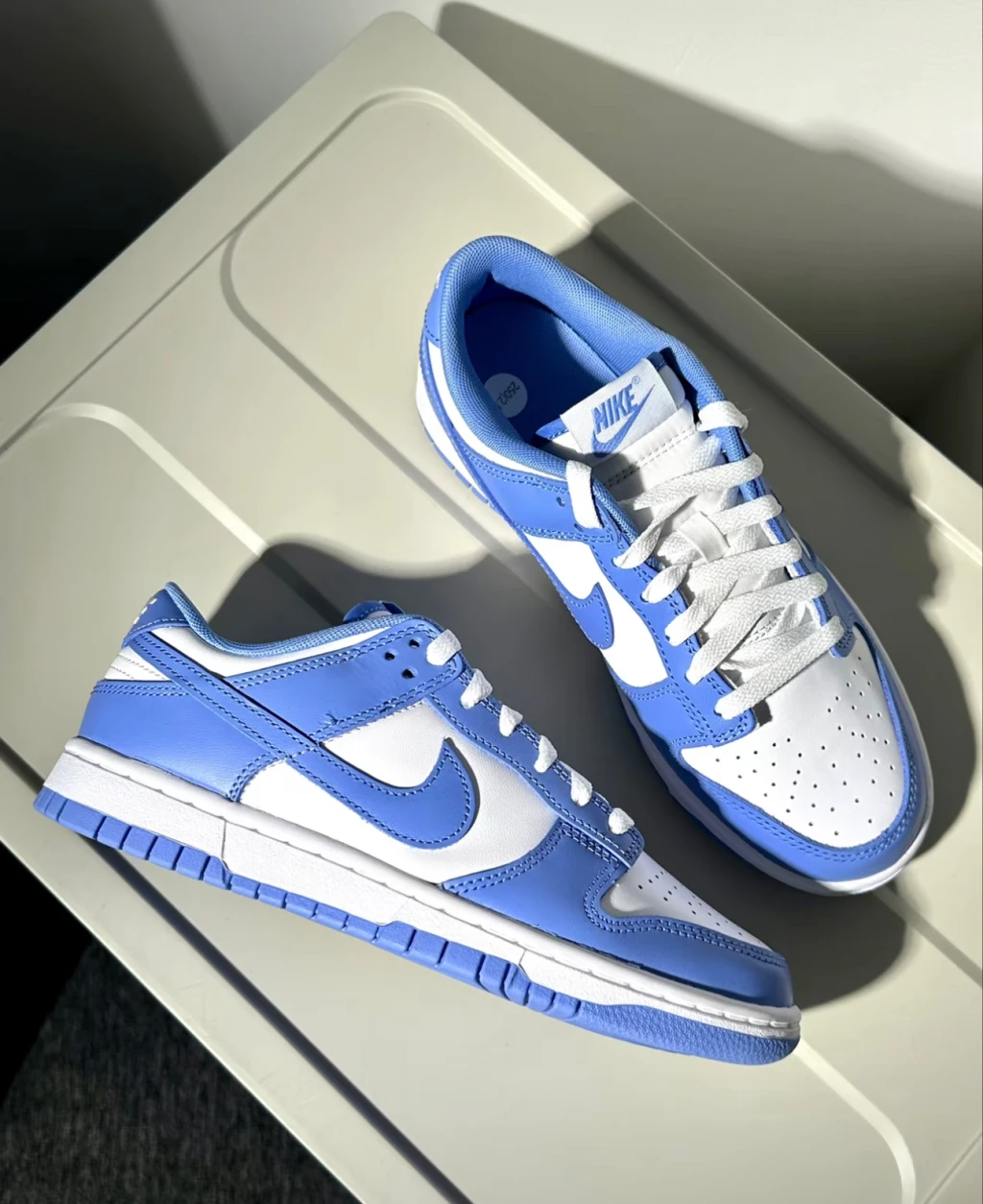 Nike Dunk Low polar Blue 北極藍 （ DV0833-400 )