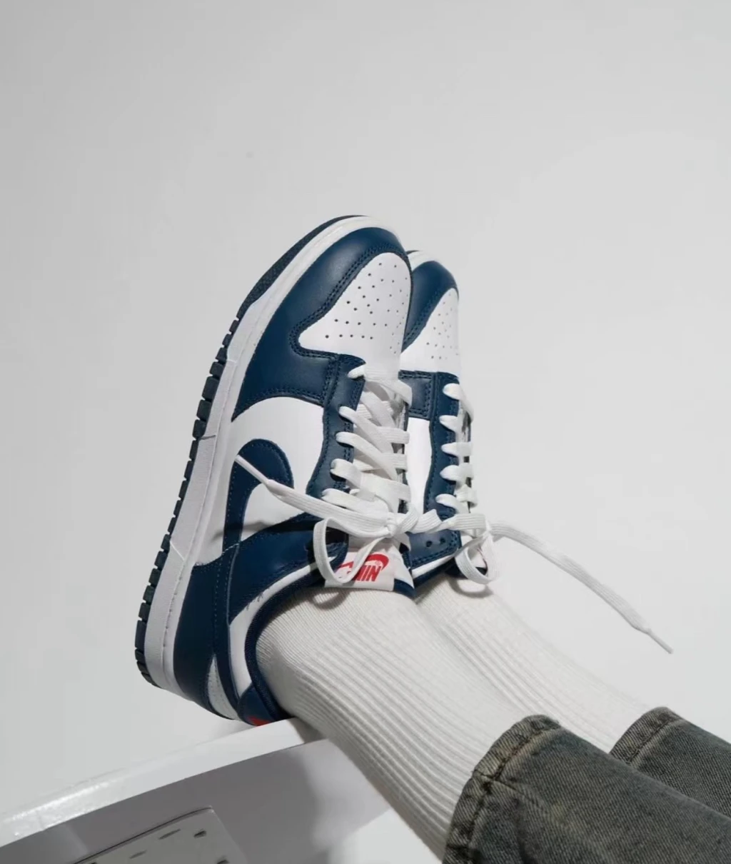 Nike Dunk Low Valerian Blue 青藏藍 海軍藍 ( DD1391-400 )