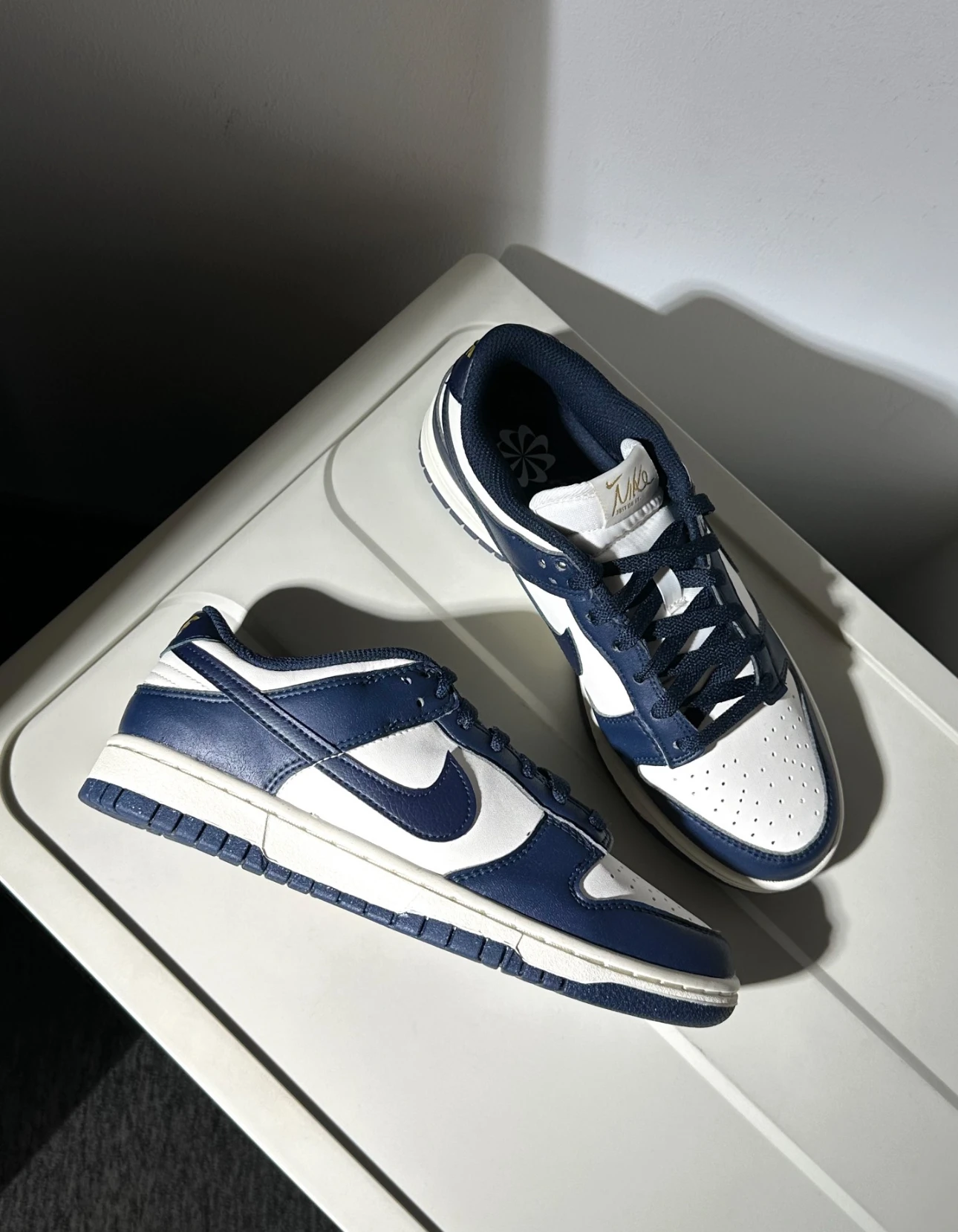 Nike Dunk Low Next Nature 海軍藍金標 FZ6770-001