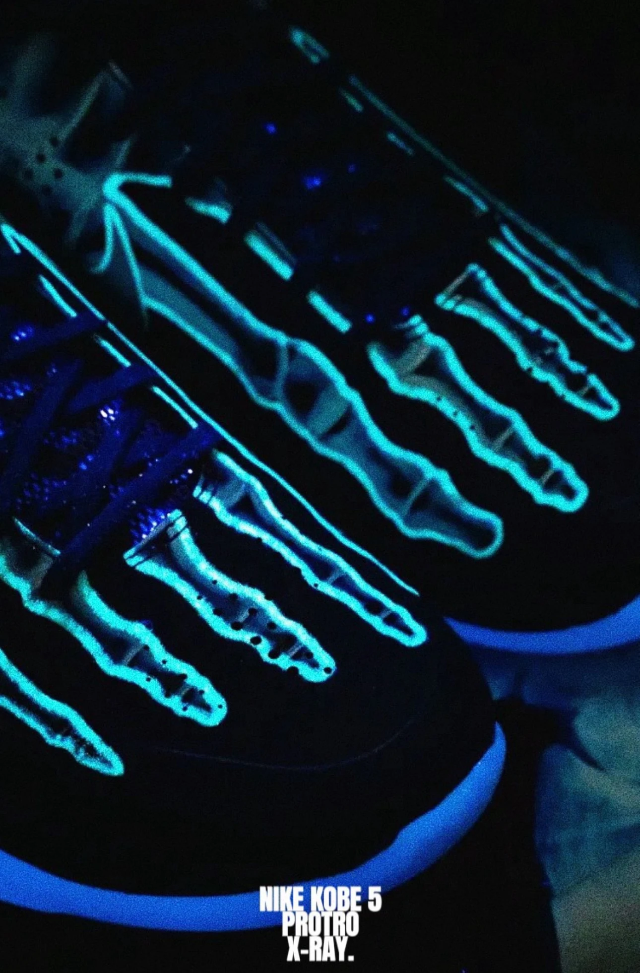 Nike Zoom Kobe 5 Protro X - Ray 夜光藍 HJ4303-400