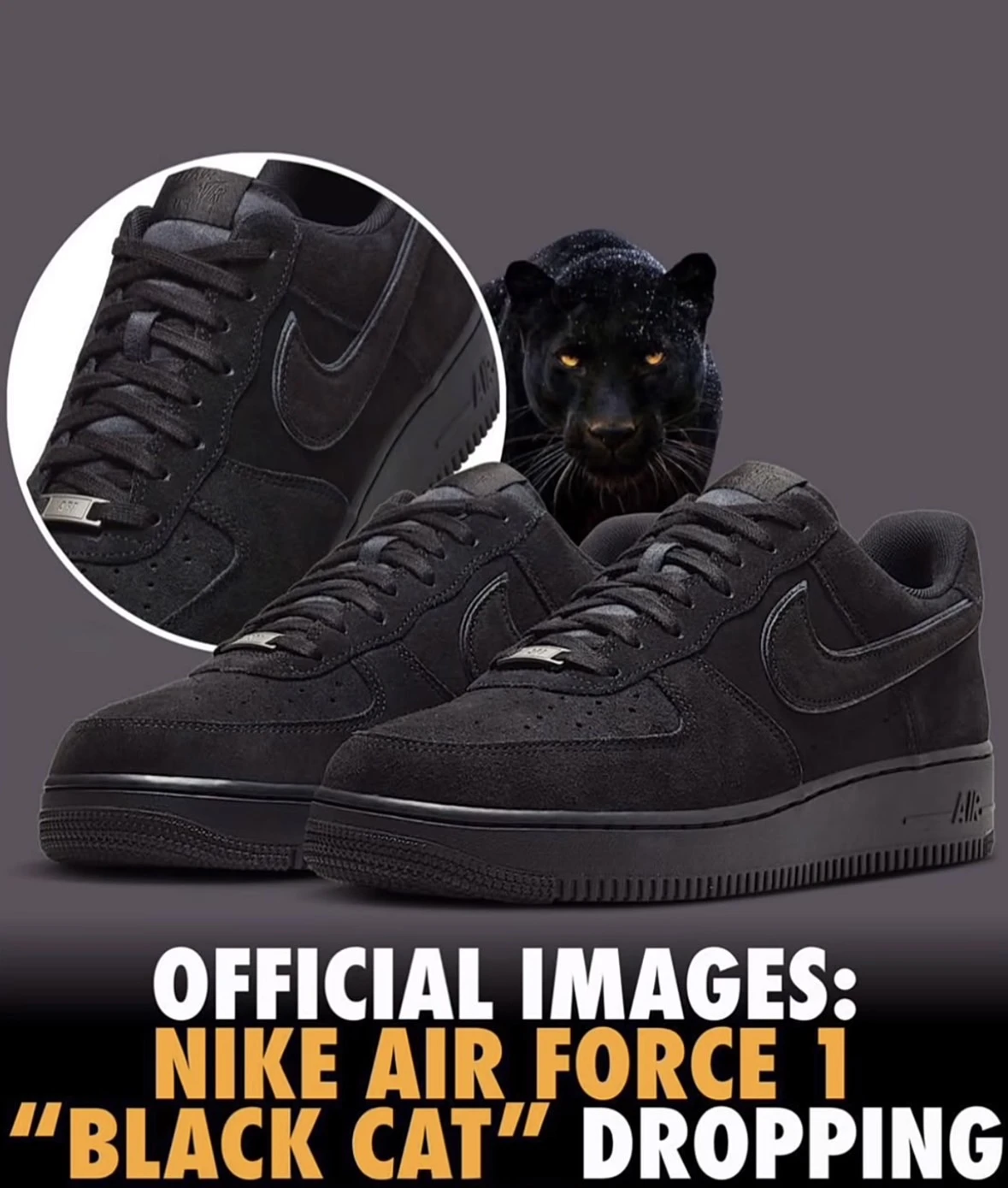 NIKE AIR FORCE 1 "Black Cat" 黑豹 麂皮 全黑(HQ1966-002)