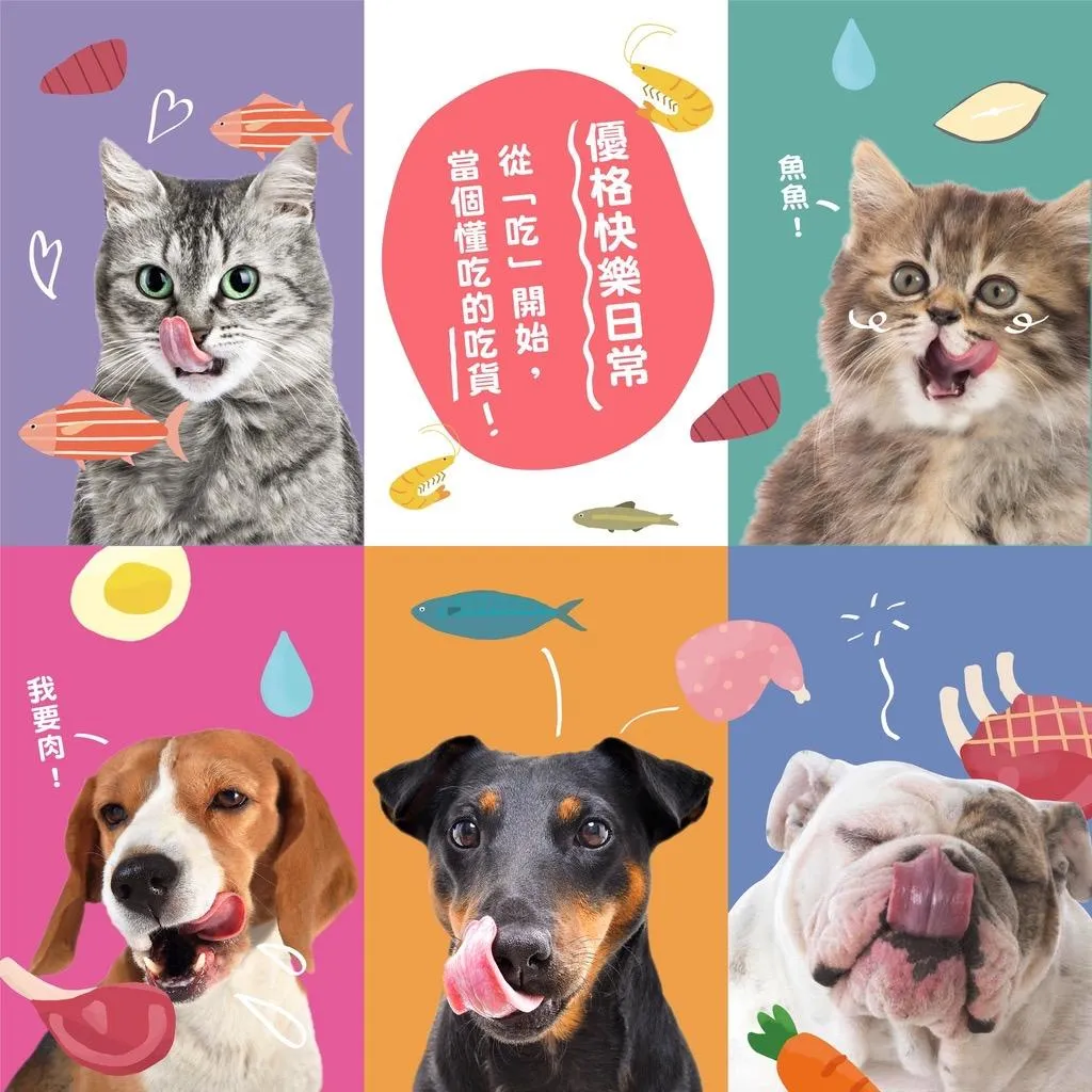 【TOMA-PRO優格】 吃貨拼盤 優格主食罐狗餐盒
