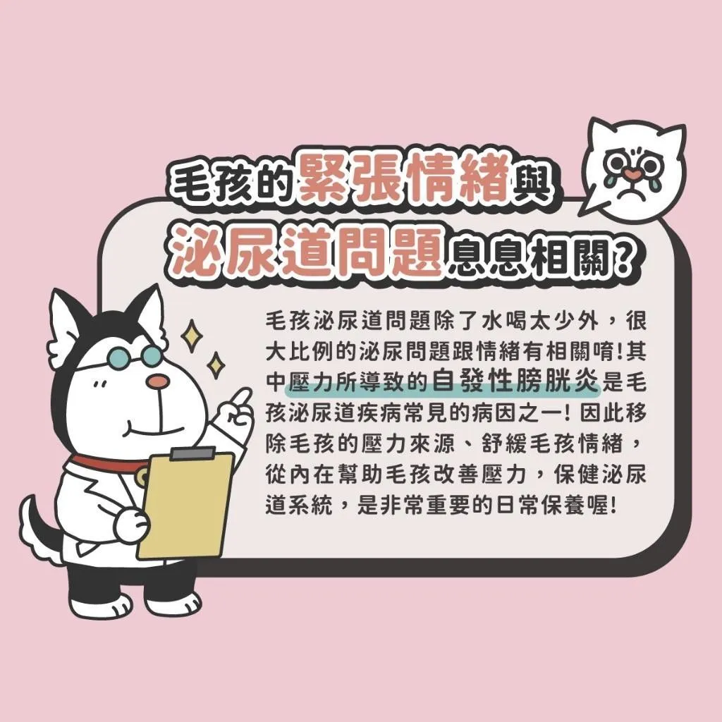 【nu4PET 陪心寵糧】犬貓 No.1泌尿道紓壓保健粉 毛孩保健品(單條)