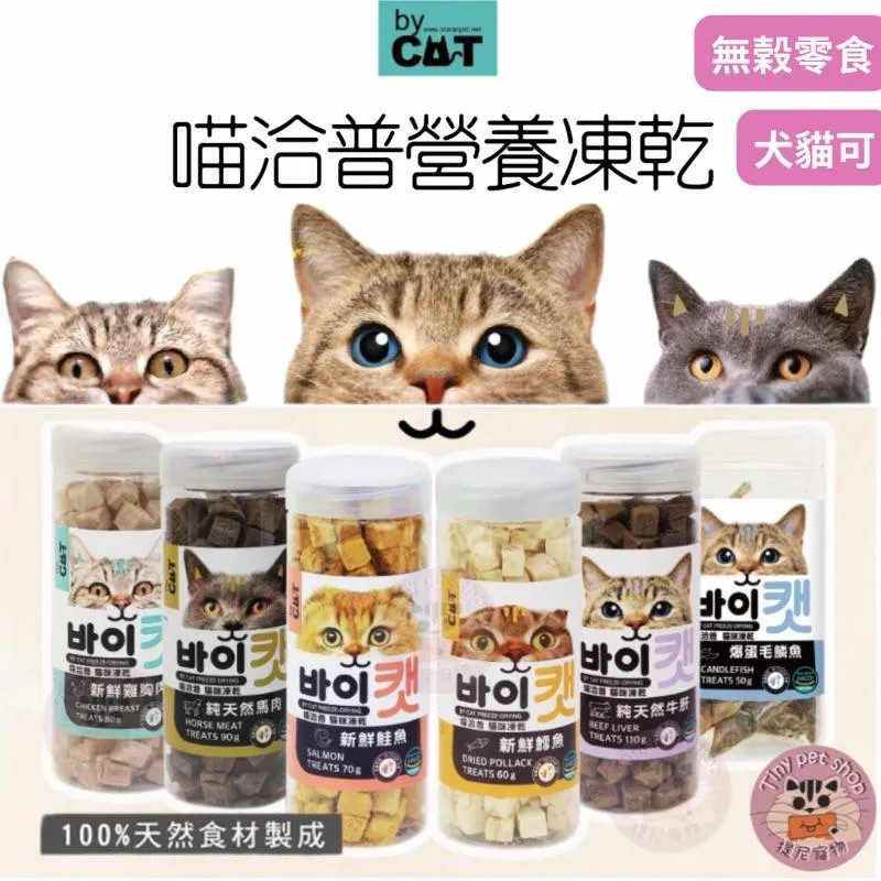 【喵洽普】韓國 By Cat  貓咪凍乾零食 寵物零食凍乾