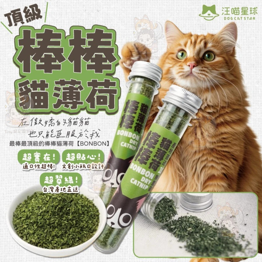 【汪喵星球】貓咪 頂級貓薄荷棒棒