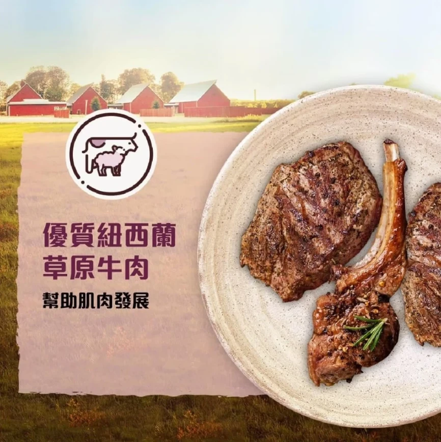 【WISH BONE香草廚坊】無穀貓香草糧 草原牛