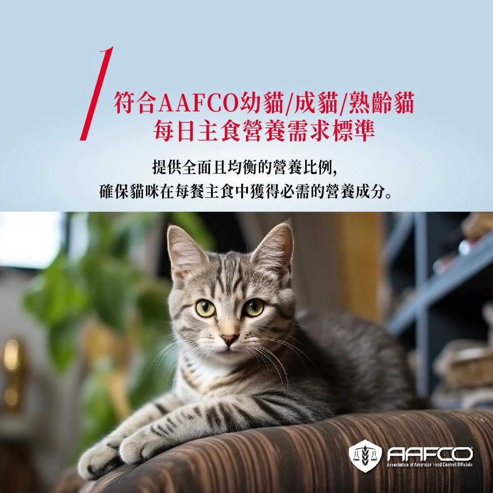 【自然小貓】 成長系列貓咪主食罐