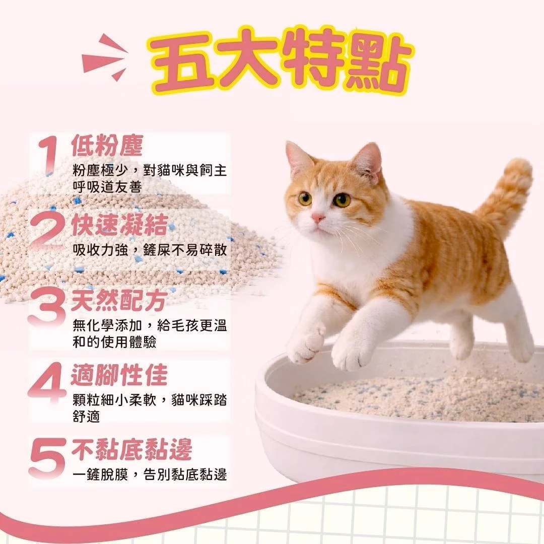 💫提尼寵物💫【貓幸福時刻】瞬凝天然木薯貓砂