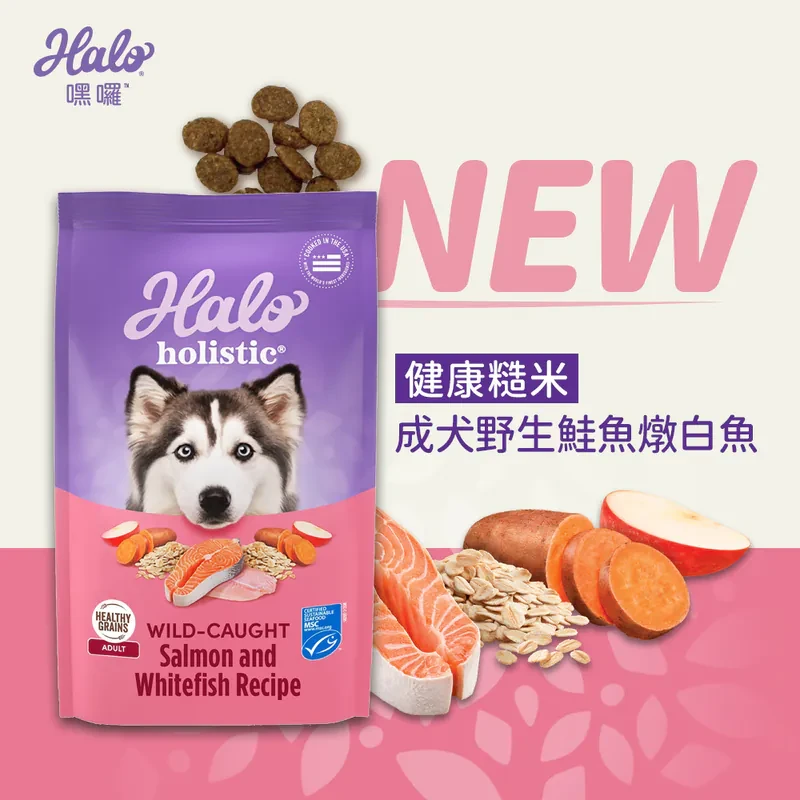 【嘿囉HALO】健康糙米成犬-野生鮭魚燉白魚配方 狗飼料 狗乾糧