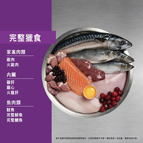【Orijen 歐睿健】極緻饗宴貓糧 鮮雞幼貓