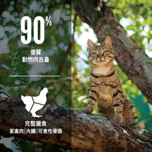 【Orijen 歐睿健】極緻饗宴貓糧 愛貓守護