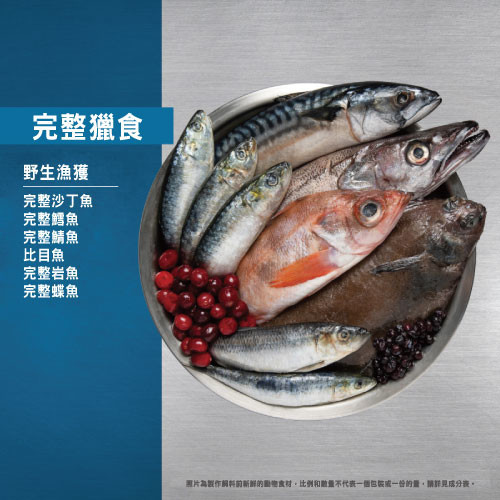 🔥即期優惠🔥【Orijen 歐睿健】極緻饗宴貓糧 六種鮮魚貓 5.4KG