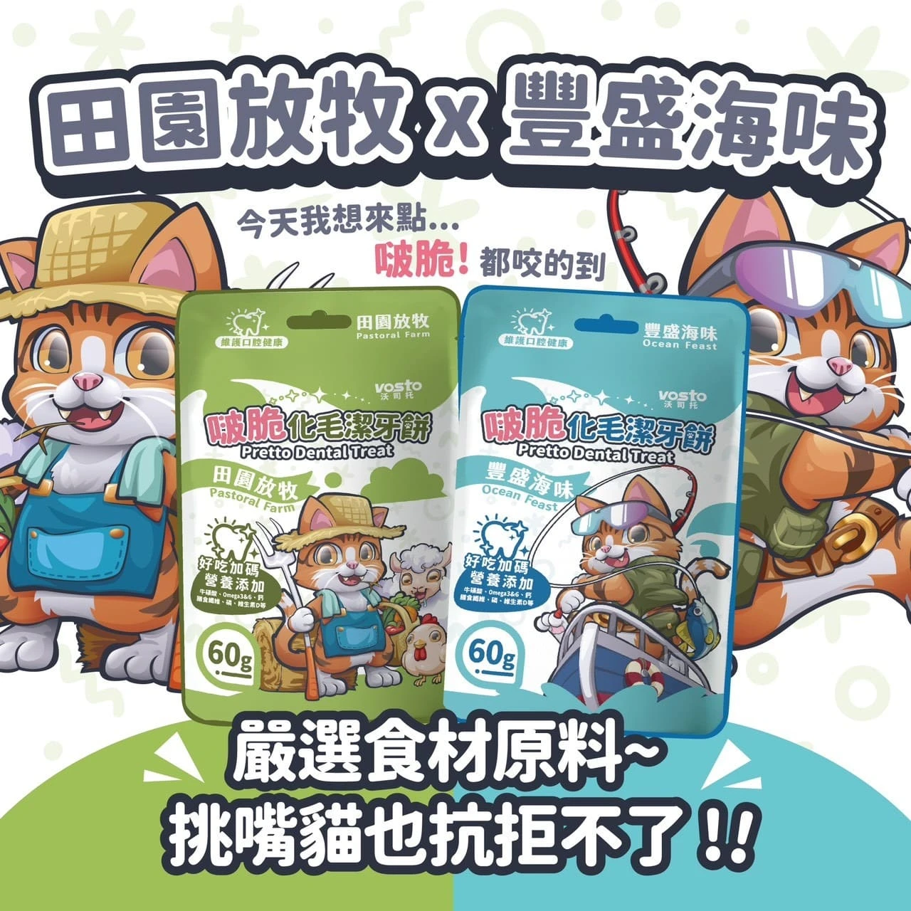 【VOSTO 沃司托】啵脆化毛潔牙餅 60g