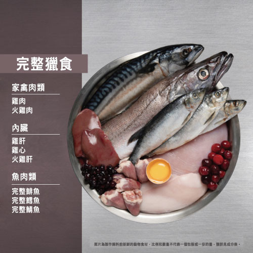 🔥買1送1優惠🔥【Orijen 歐睿健】極緻饗宴貓糧 鮮雞室內貓 5.4KG
