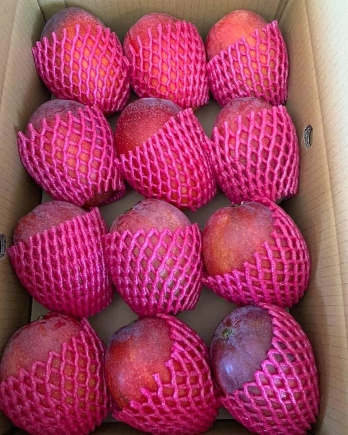 愛文芒果超甜🥭