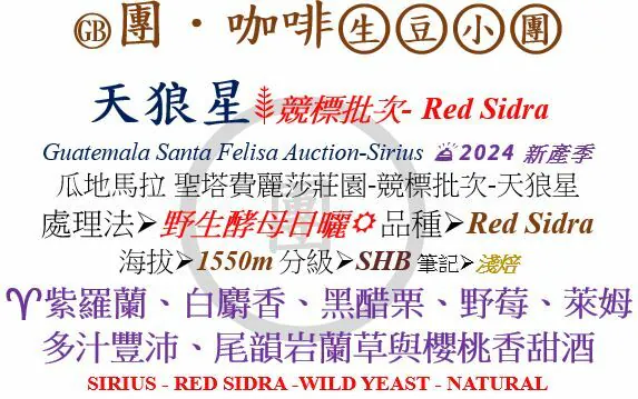 [♥競標批次]GB-瓜地馬拉 聖費麗莎莊園-天狼星 Red Sidra 野生酵母日曬  [團咖啡．生豆小團]*2024新產季