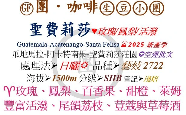 [♥玫瑰/鳳梨/活潑]GF-瓜地馬拉-聖費莉莎莊園-日曬-藝妓2722 *超值選! [團咖啡．生豆小團]*2025新產季