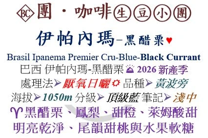 [♥黑醋栗/鳳梨/明亮]BC-巴西 伊帕內瑪-黑醋栗-厭氧日曬-黃波旁-頂級藍[團咖啡．生豆小團]*2026新產季