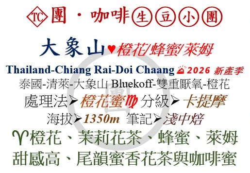 [♥橙花/蜂蜜/萊姆]TC-泰國-清萊-大象山-澄花蜜-卡提摩[團咖啡．生豆小團]*2026新產季